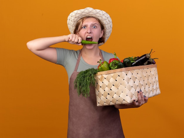 Ansioso giovane giardiniere femminile slavo indossando il cappello di giardinaggio tenendo il cesto di verdure e peperoncino sull'arancia