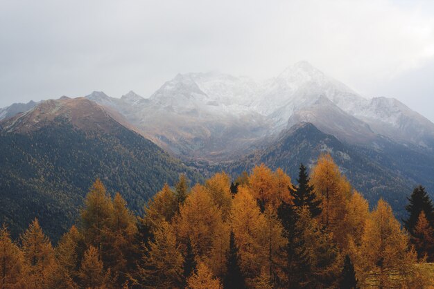 Antenna di una montagna