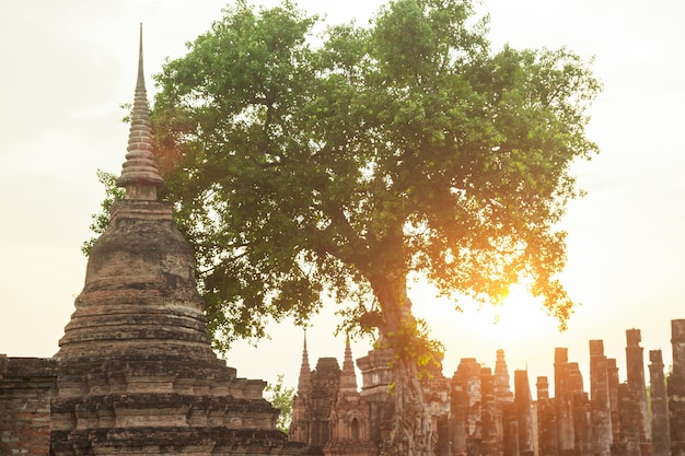 Antica pagoda al parco storico di Sukhothai