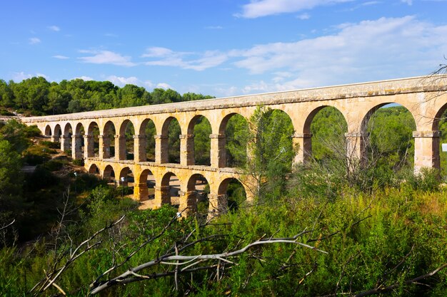 antico acquedotto romano nella foresta estiva. Tarragona,