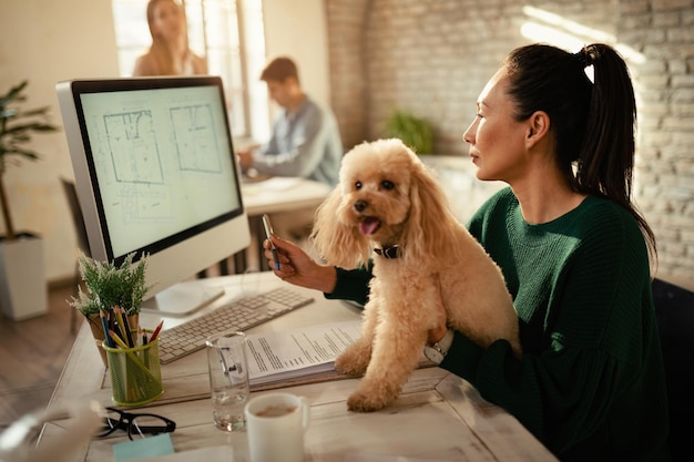 Architetto asiatico con un cane che legge progetti su un computer in ufficio