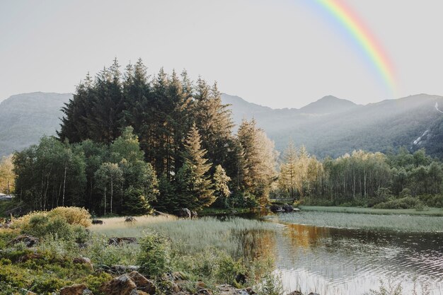 Arcobaleno nel cielo con paesaggio naturale