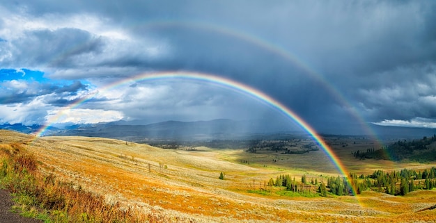 Arcobaleno su un bellissimo campo verde e giallo sotto il cielo nuvoloso