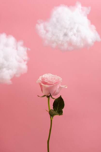 Arrangimento concettuale di fiori nel cielo