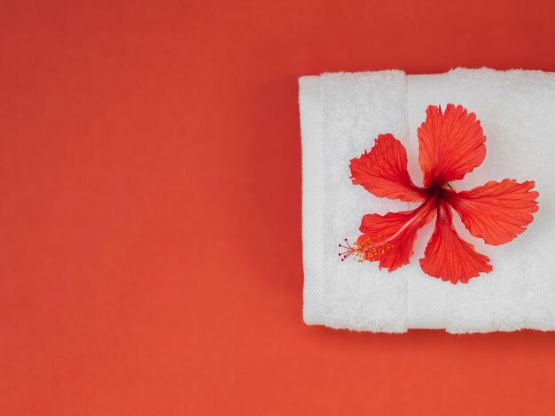 Asciugamano e fiore di vista superiore su fondo rosso
