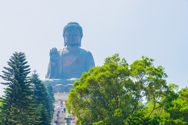 asiatico loto Hong Kong statua orientale