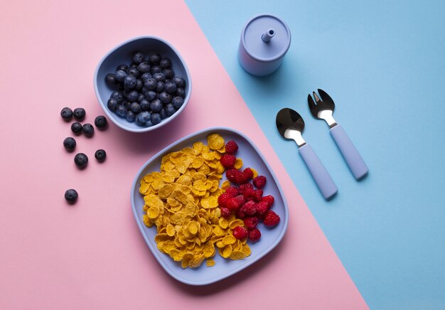 Assortimento di cibo per bambini sano piatto