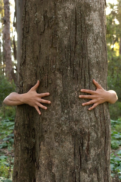 Assortimento di concetti di sostenibilità di natura morta