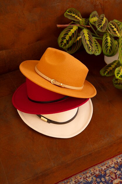 Assortimento di eleganti cappelli Fedora