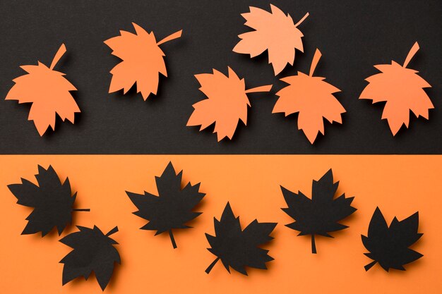 Assortimento di foglie di autunno vista dall'alto