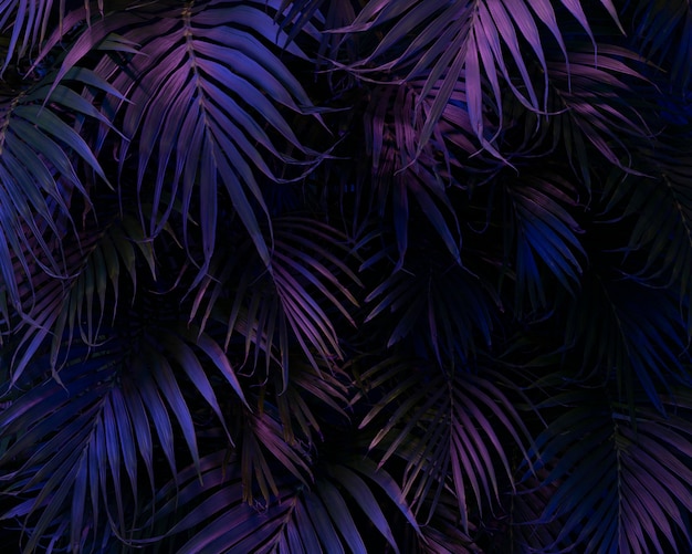 Assortimento di foglie di palma colorate 3d