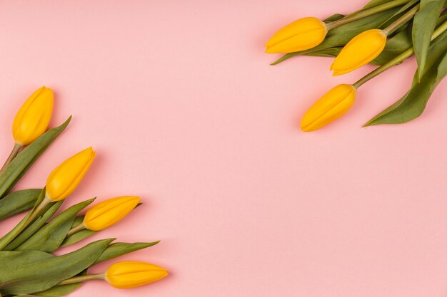 Assortimento di vista dall'alto di tulipani gialli con copia spazio