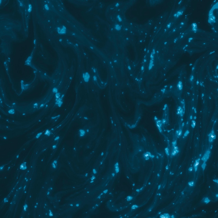 Foto gratuito astratto sfondo blu e nero su liquido