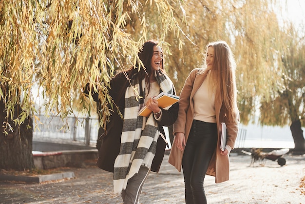 Atmosfera rilassata. Le amiche fanno una passeggiata nel bellissimo parco autunnale