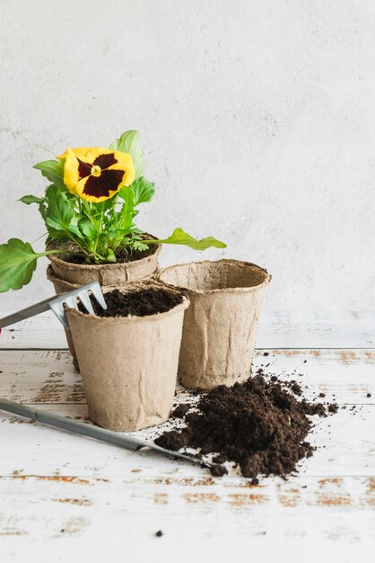 Attrezzi da giardinaggio con vasi di torba e terreno per piantare la pianta gialla del pensiero viola