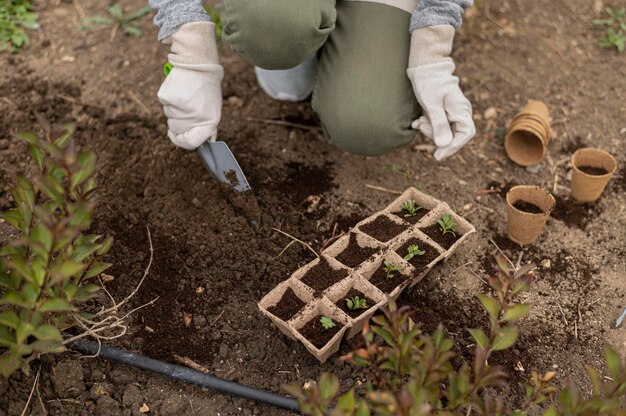 Attrezzo da giardinaggio per tenere la mano da vicino