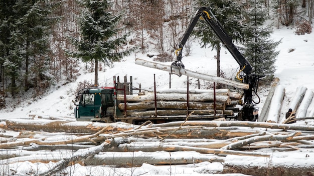 Auto che raccoglie alberi segati in una foresta di pini d'inverno nei Carpazi Romania