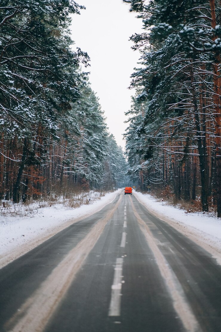 Foto gratuito auto in movimento su una strada forestale nella neve
