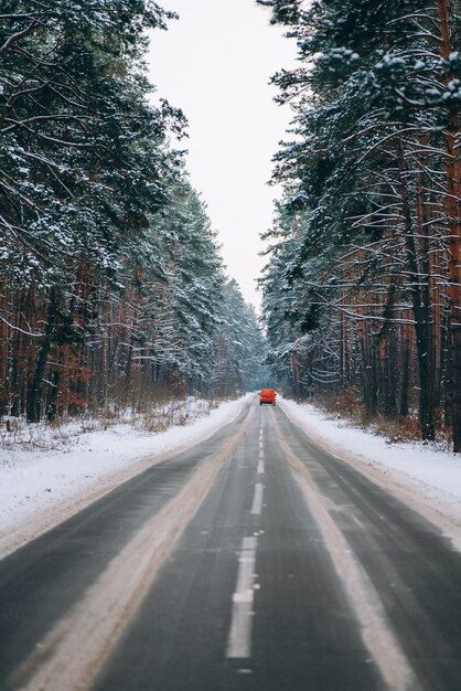 Auto in movimento su una strada forestale nella neve