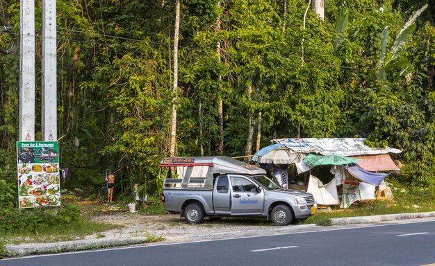 Auto parcheggiata sul lato della strada vicino alla foresta