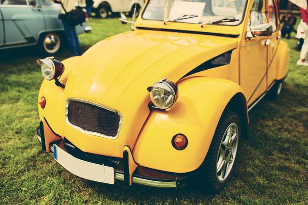 Auto retrò parcheggiata sull'erba