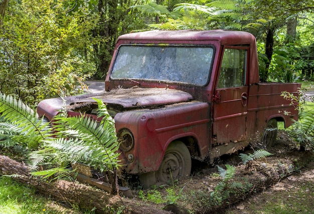 Auto rossa arrugginita che giace abbandonata in una foresta circondata da alberi