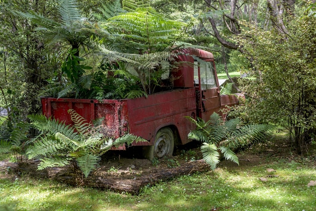 Auto rossa arrugginita che giace abbandonata in uno sfondo di foresta circondata da alberi