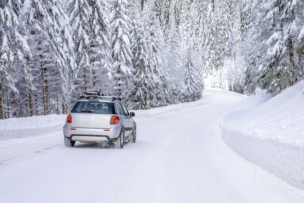 Auto sulla strada in montagna circondata da abeti coperti di neve