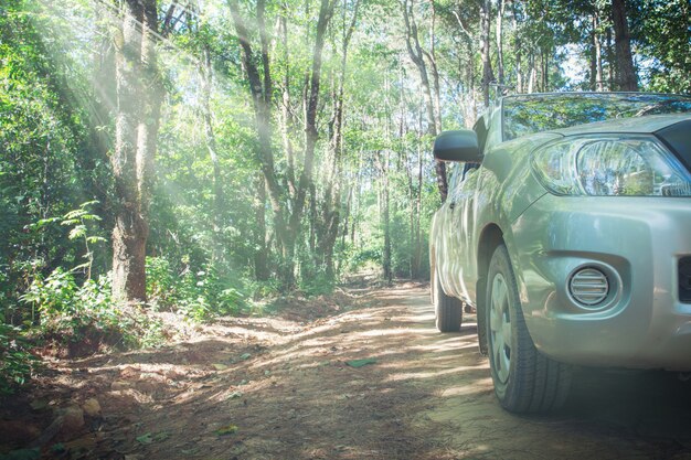 Automobile con raduno della strada non asfaltata e fondo della natura