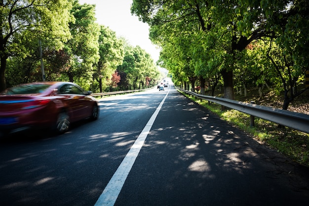 Automobile su strada asfaltata in estate