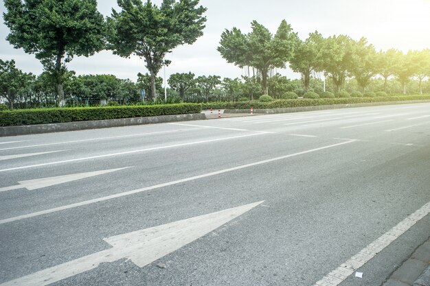 Autostrada con alberi sul lato