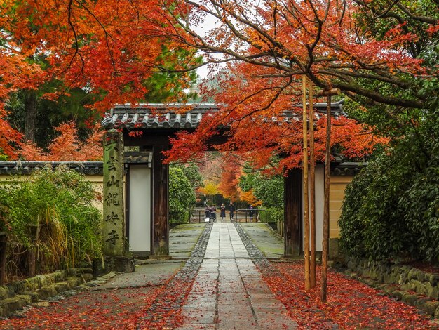 Autunno a Kyoto