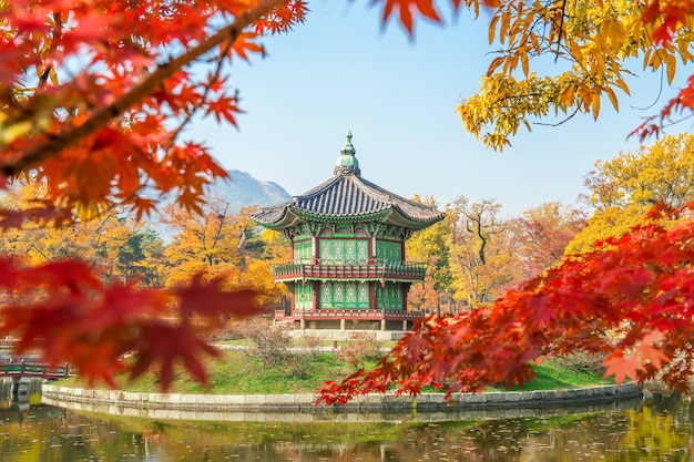 Autunno nel Palazzo Gyeongbukgung, Corea.