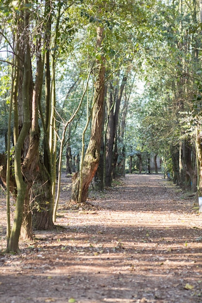 Autunno nel parco