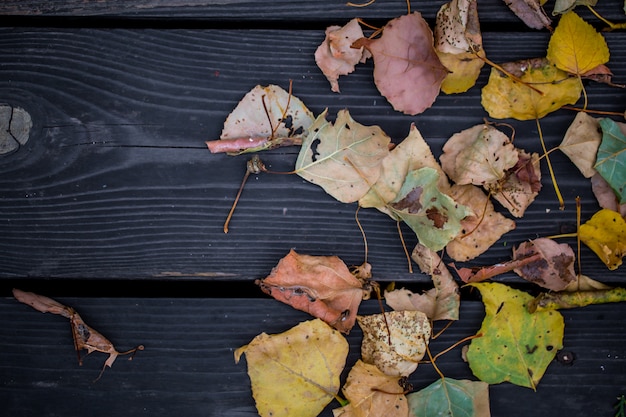 Autunno su un bellissimo tavolo di legno