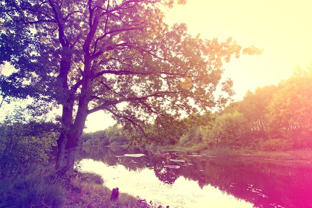 Autunno sunburst dell&#39;annata sopra il lago.