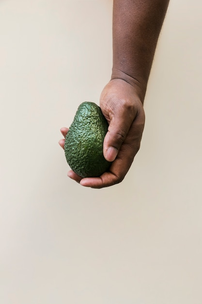 Avocado