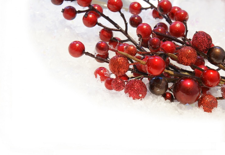 Foto gratuito bacche di natale immerso nella neve