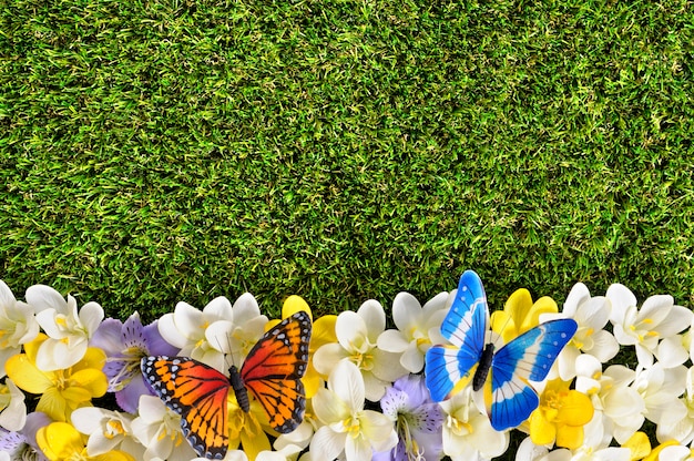 background bordo primavera con le farfalle