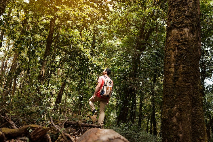 Foto gratuito backpacker esplorare foresta