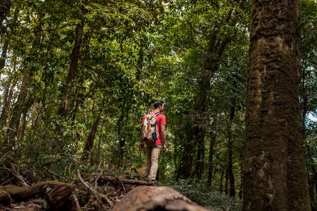 Backpacker nel profondo delle foreste