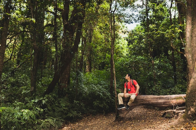 Backpacker sul tronco d&#39;albero nella foresta