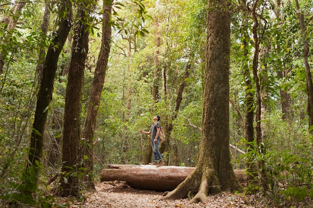 Backpacker sul tronco d&#39;albero