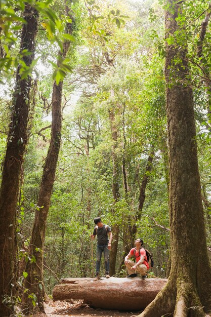 Backpackers in piedi sul tronco d&#39;albero