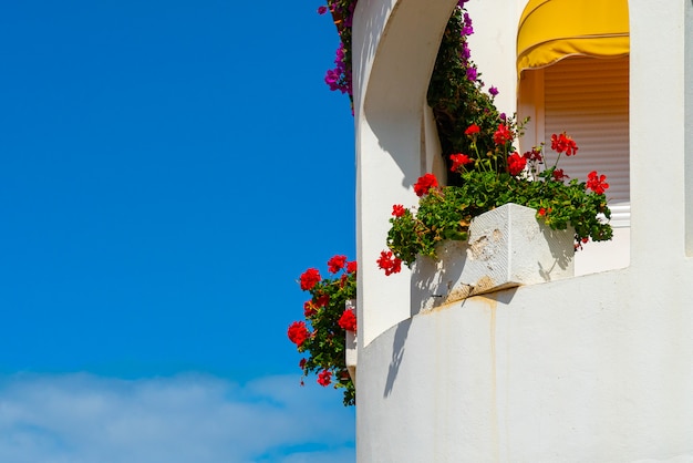 Balcone bianco con fiori rossi contro il cielo blu brillante, Puerto de la Cruz, Tenerife, Spagna