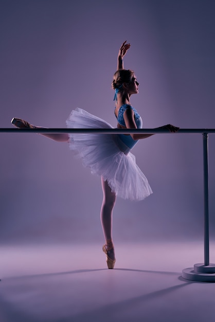 Ballerina classica che propone alla sbarra di balletto