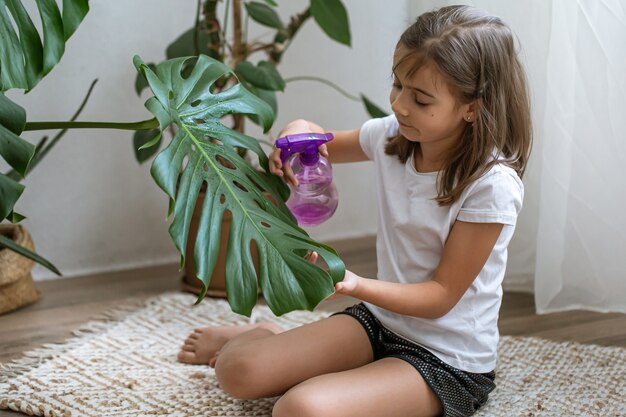 Bambina che spruzza foglie di piante d'appartamento, prendendosi cura della pianta Monstera.