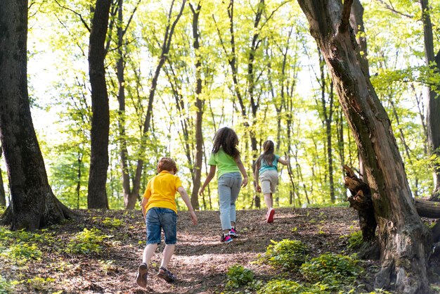 Bambini carini che esplorano la natura