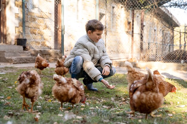 Bambino a tutto campo che dà da mangiare ai pulcini