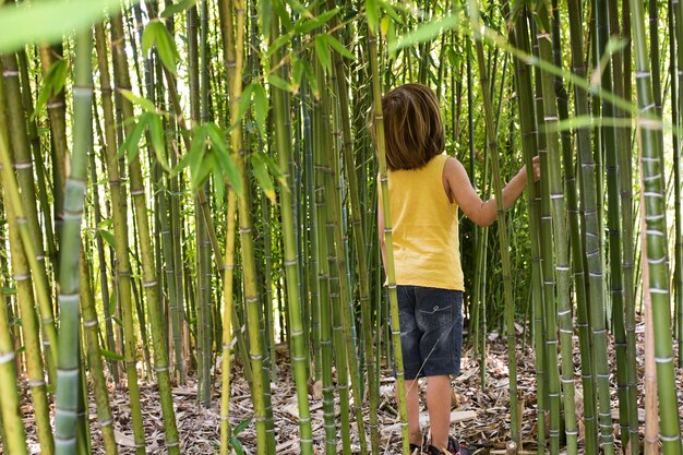 Bambino che cammina attraverso una foresta di bambù